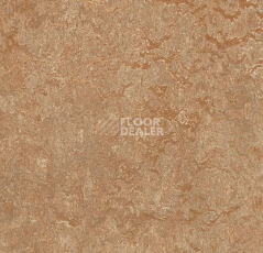 Линолеум Forbo Marmoleum Decibel on Order 323335 shitake фото 1 | FLOORDEALER